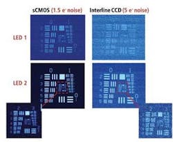 Th Snap 0908vsd Th Snap 0908vsd