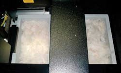 Th Snap Cotton1 0904vsd Th Snap Cotton1 0904vsd