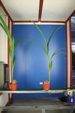 Th Snap Palmfig1 0811vsd Th Snap Palmfig1 0811vsd