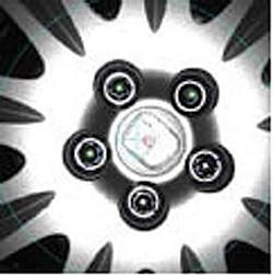 Th Snap Radixinset 0911vsd Th Snap Radixinset 0911vsd