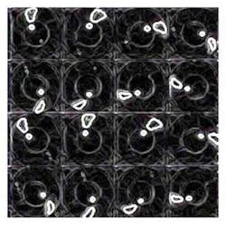 Th Trends Fig2b 0908vsd Th Trends Fig2b 0908vsd