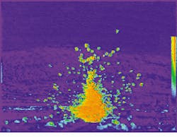 Th Vsd50779 51 Th Vsd50779 51