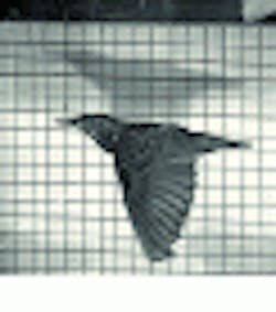 Th Vsd50782 29 Th Vsd50782 29