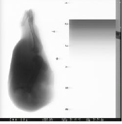 Th Vsd50906 15 Th Vsd50906 15