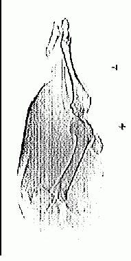 Th Vsd50906 16 Th Vsd50906 16