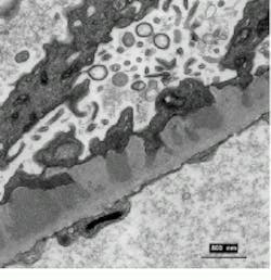 Th Vsd50909 21 Th Vsd50909 21