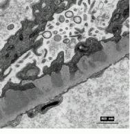 Th Vsd50909 21 Th Vsd50909 21