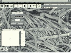 Th Vsd50909 32 Th Vsd50909 32