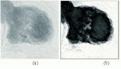 Th Vsd50929 24 Th Vsd50929 24