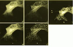 Th Vsd50949 27 Th Vsd50949 27