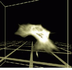 Th Vsd50949 29 Th Vsd50949 29