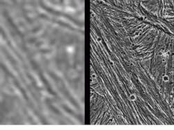 Th Vsd50991 22 Th Vsd50991 22