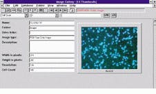 Th Vsd51113 29 Th Vsd51113 29