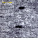 Th Vsd51134 24 Th Vsd51134 24