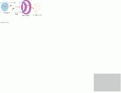 Th Vsd51199 21 Th Vsd51199 21