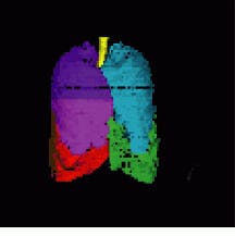 Th Vsd51356 39 Th Vsd51356 39