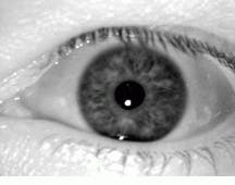 Th Vsd51487 35 Th Vsd51487 35