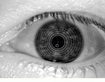 Th Vsd51487 36 Th Vsd51487 36