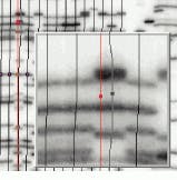 Th Vsd51511 29 Th Vsd51511 29