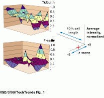 Th Vsd51517 10 Th Vsd51517 10