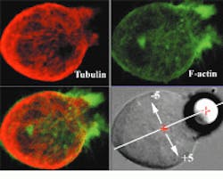 Th Vsd51517 8 Th Vsd51517 8