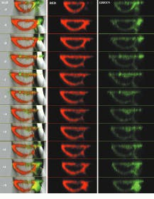 Th Vsd51517 9 Th Vsd51517 9