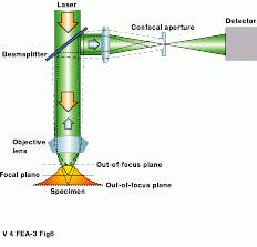 Th Vsd51532 33 Th Vsd51532 33