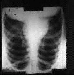 Th Vsd51535 33 Th Vsd51535 33