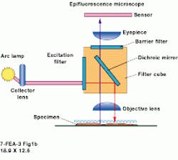 Th Vsd51644 28 Th Vsd51644 28