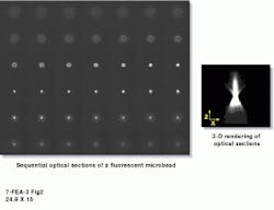 Th Vsd51644 29 Th Vsd51644 29