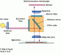 Th Vsd51662 24 Th Vsd51662 24