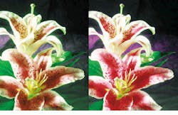 Th Vsd51690 25 Th Vsd51690 25