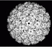 Th Vsd51712 31 Th Vsd51712 31