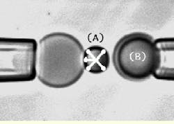 Th Vsd51880 29 Th Vsd51880 29