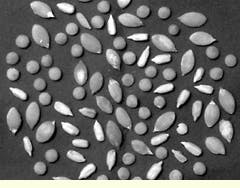 Th Vsd51940 23 Th Vsd51940 23