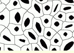 Th Vsd51940 24 Th Vsd51940 24