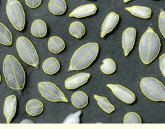 Th Vsd51940 25 Th Vsd51940 25