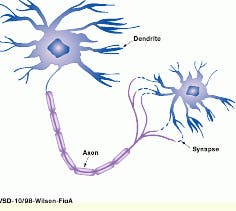 Th Vsd51940 41 Th Vsd51940 41
