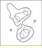 Th Vsd52022 44 Th Vsd52022 44