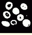 Th Vsd52022 47 Th Vsd52022 47