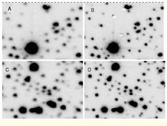 Th Vsd52054 91 Th Vsd52054 91