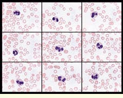 Th Vsd52168 44 Th Vsd52168 44