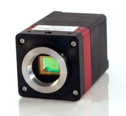 Vsddssraptor040513 Vsddssraptor040513