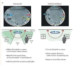 Vsdnewspanomorpha060311 Vsdnewspanomorpha060311