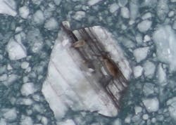 Vsdseals040411 Vsdseals040411