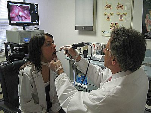 Vsdtrend1endo100511