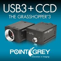 Vsdvcptgrey030113 Vsdvcptgrey030113