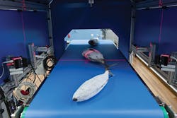 1606vsd Trends4a 1606vsd Trends4a