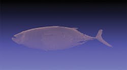 1606vsd Trends4b 1606vsd Trends4b