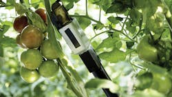 1702vsd Snap 02 1702vsd Snap 02